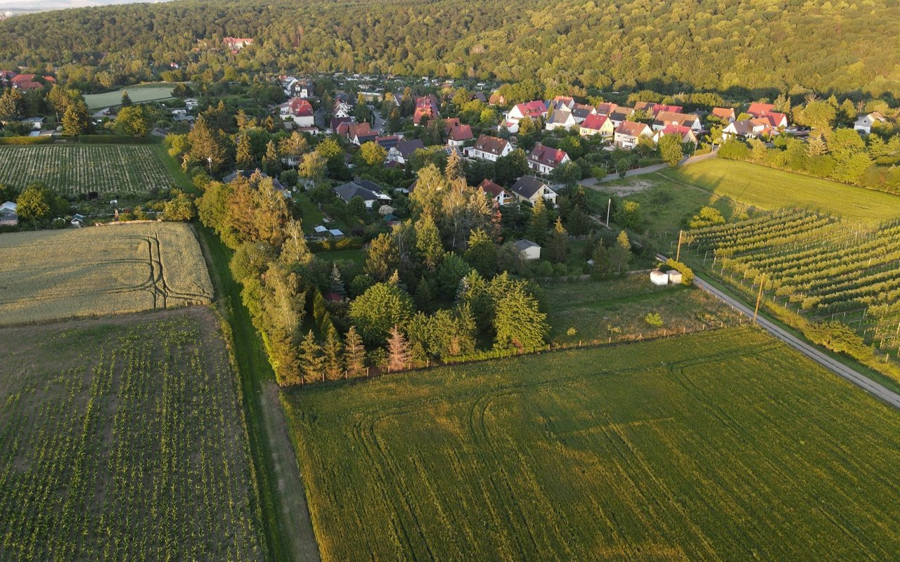 Galaxie Farm