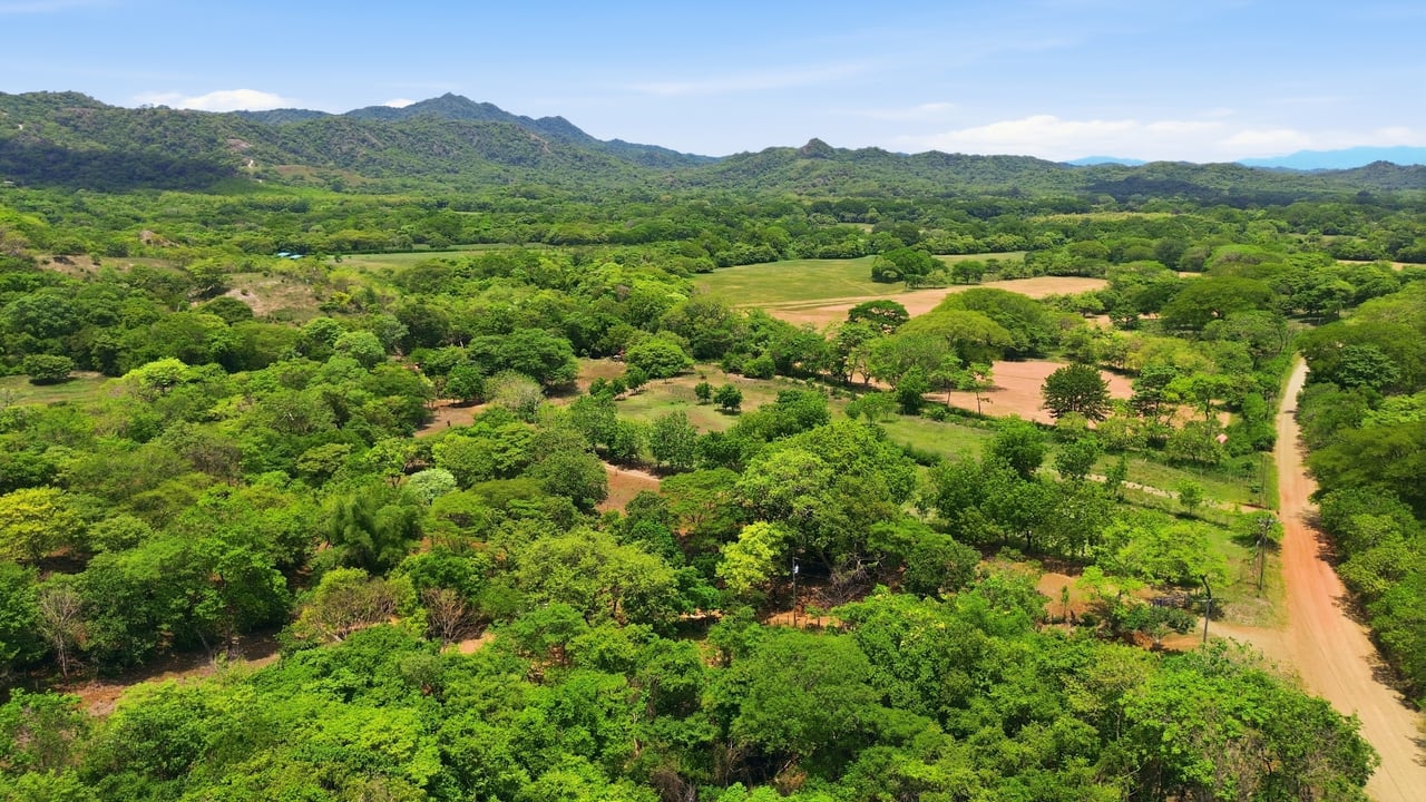 3.4 Acres of Quiet Country Living | 12 minutes from the Beach - Tempate 