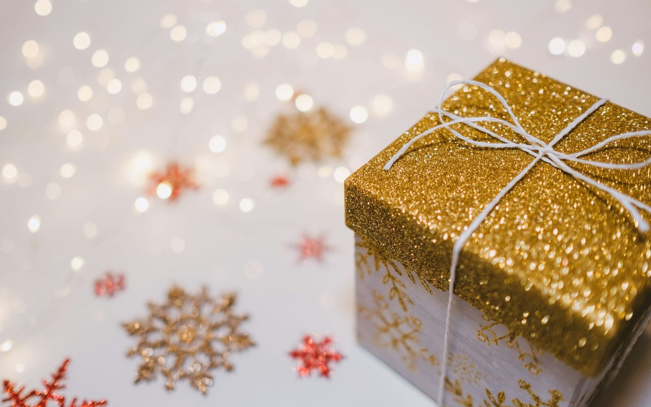 Enjoy a Few Highlights From 2009! Happy Holidays!