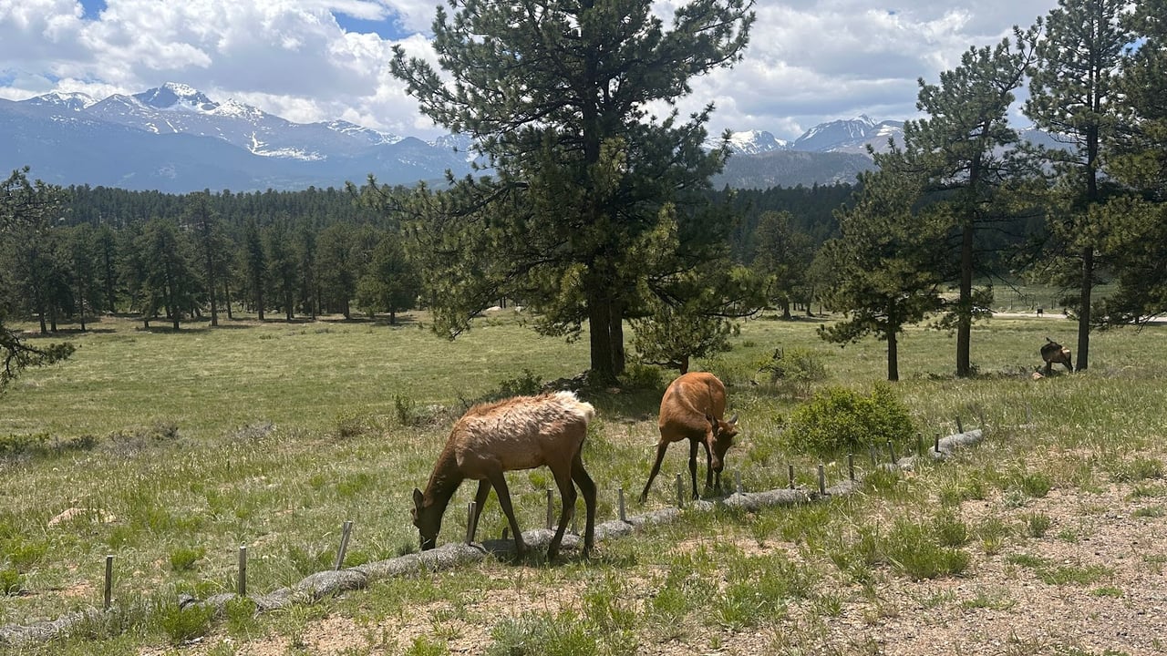 Where the Road Meets the Sky: Driving Trail Ridge Road