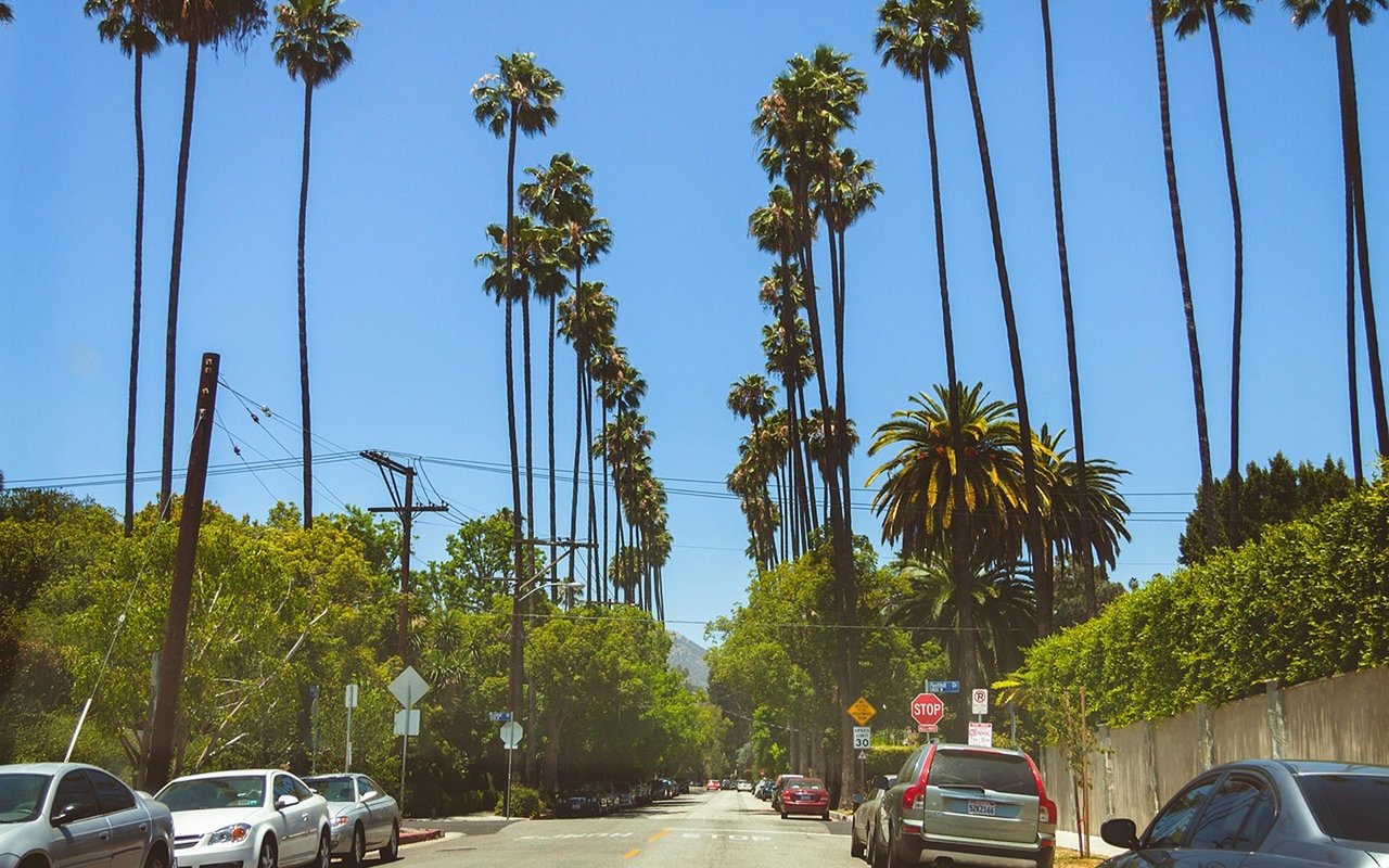 Palm-lined residential street with parked cars and hills visible in the distance.