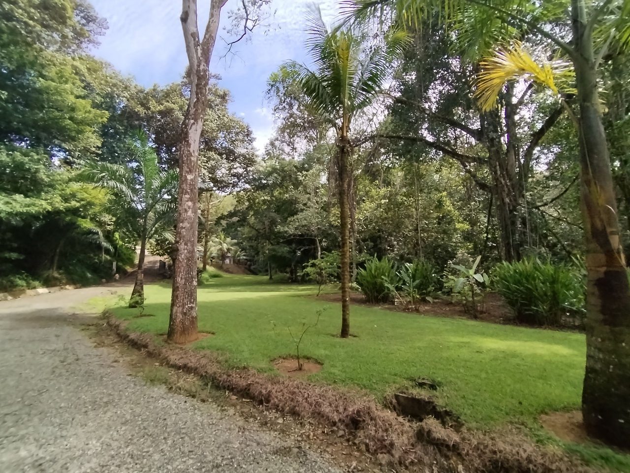 Villa Shanti: Luxurious 3-Bedroom Jungle Home in Ojochal, Costa Rica