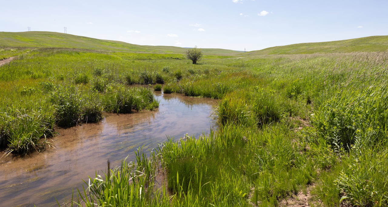Antelope Creek Ranch