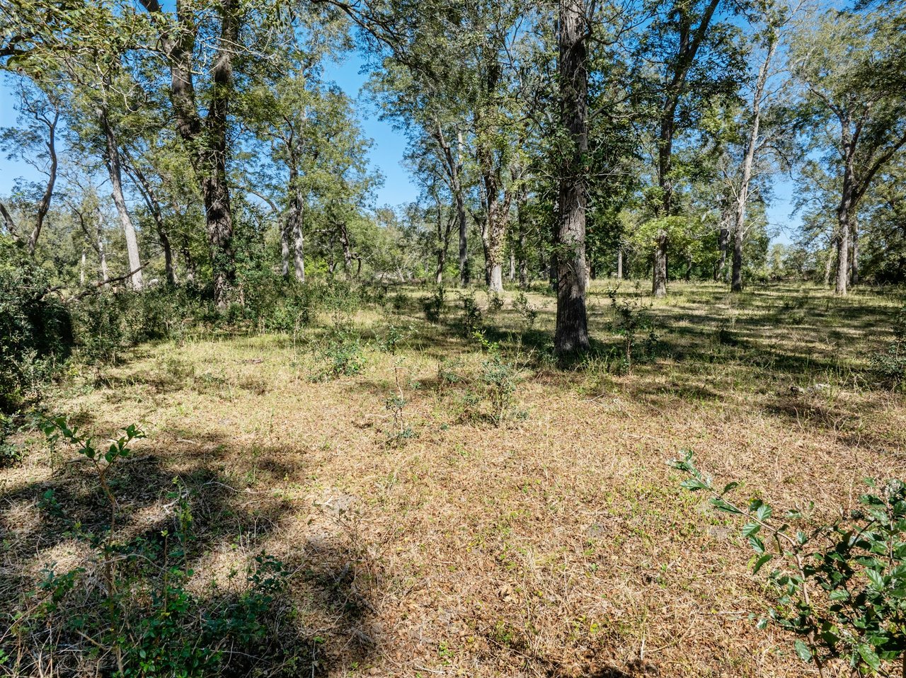 +/- 220 Acre Guadalupe Riverfront Ranch For Sale!