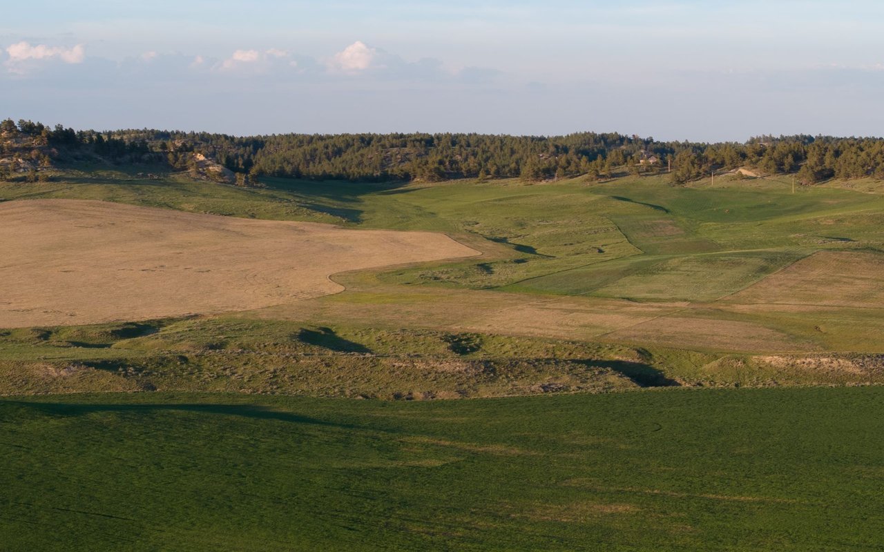Elk Rich Ranch