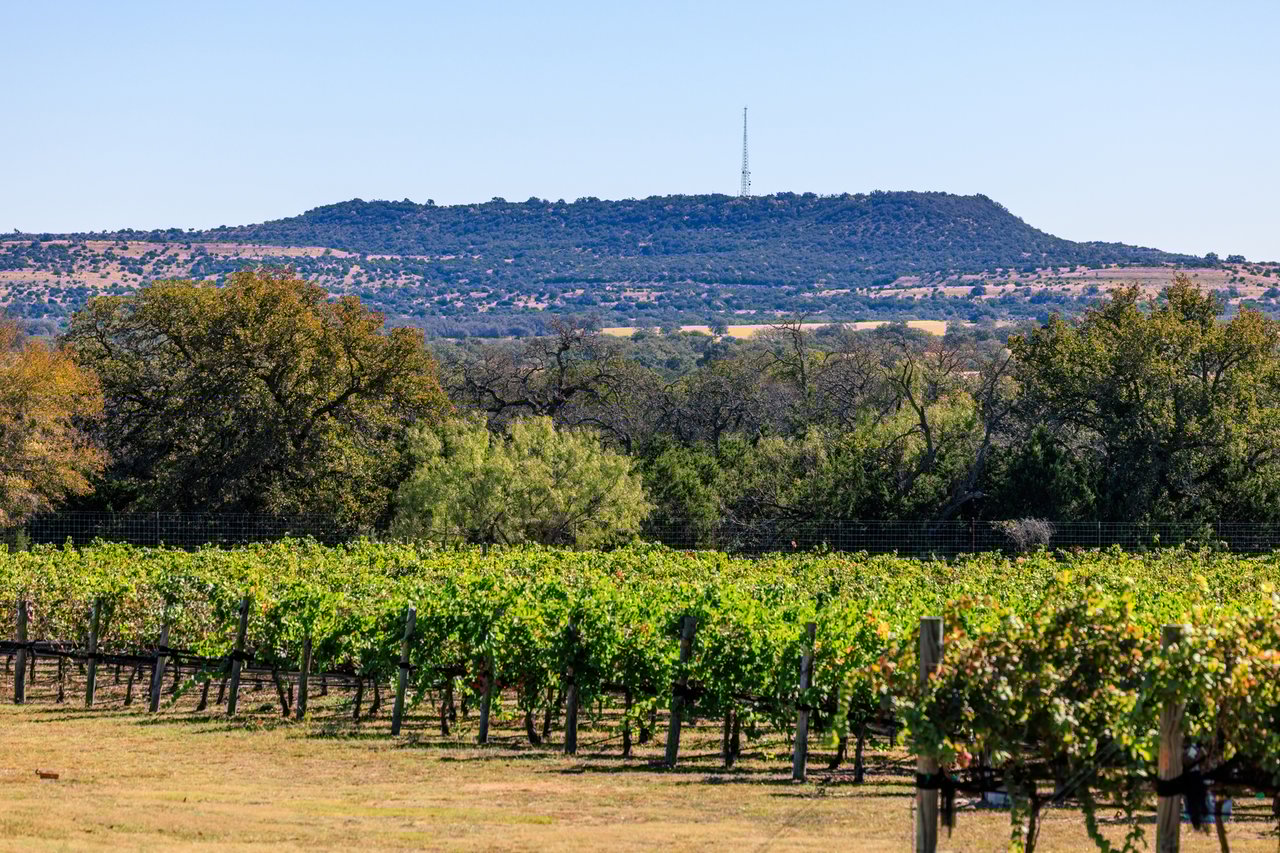 Round Mountain Vineyard