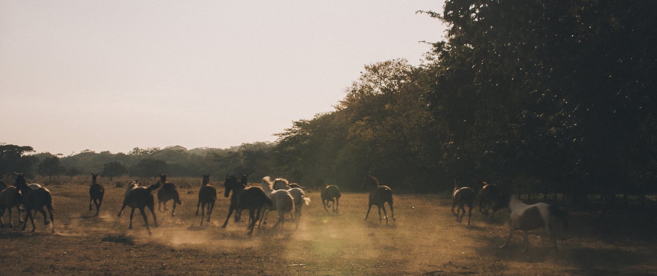  Punta Sabana & Mar Serena