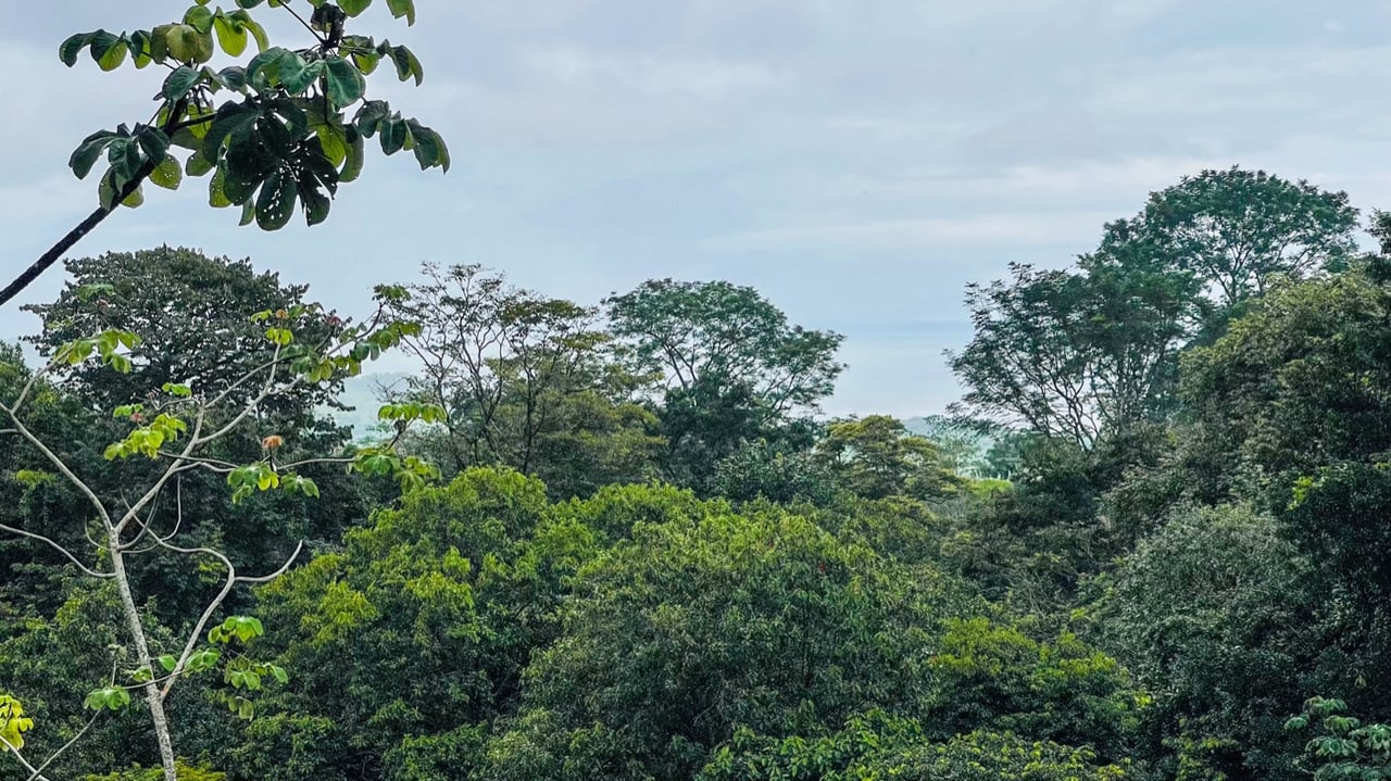 Two Homes on 1.55 Acres with Ocean & Mountain Views – Plus Room to Build!
