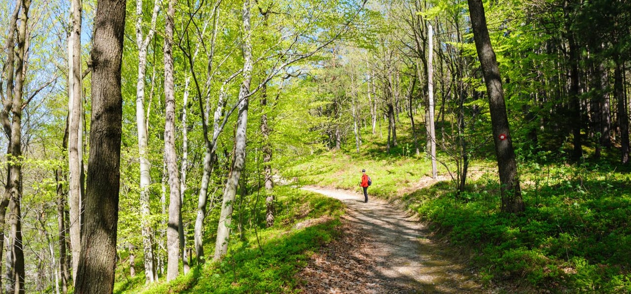 Spring Hiking Guide: Napa Valley's Top Trails and Hidden Gems