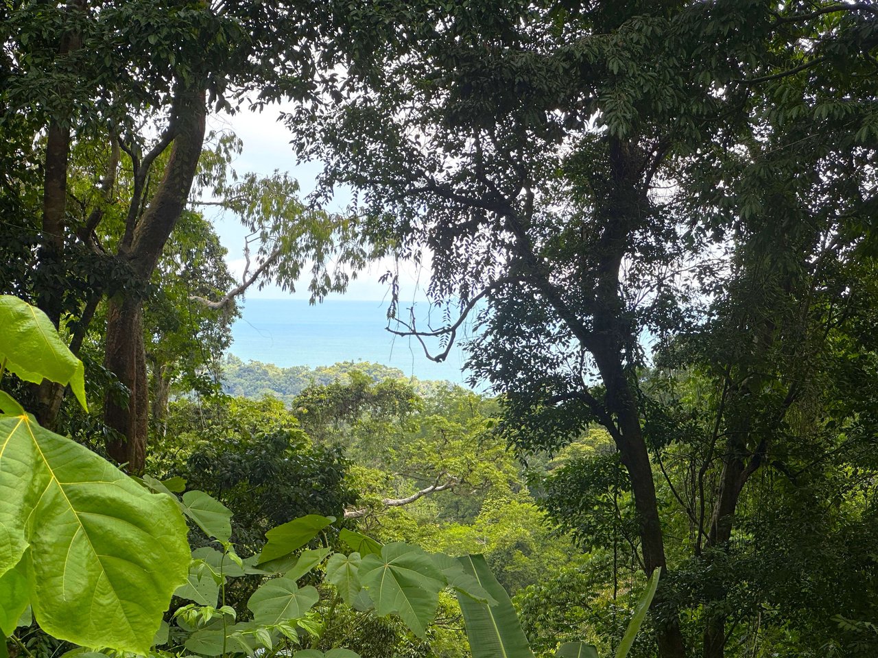 11.24 Acres With Two Stunning Ocean View Building Sites In Cinco Ventanas! Ojochal (Cinco Ventanas, Puntarenas, CR - 60504)