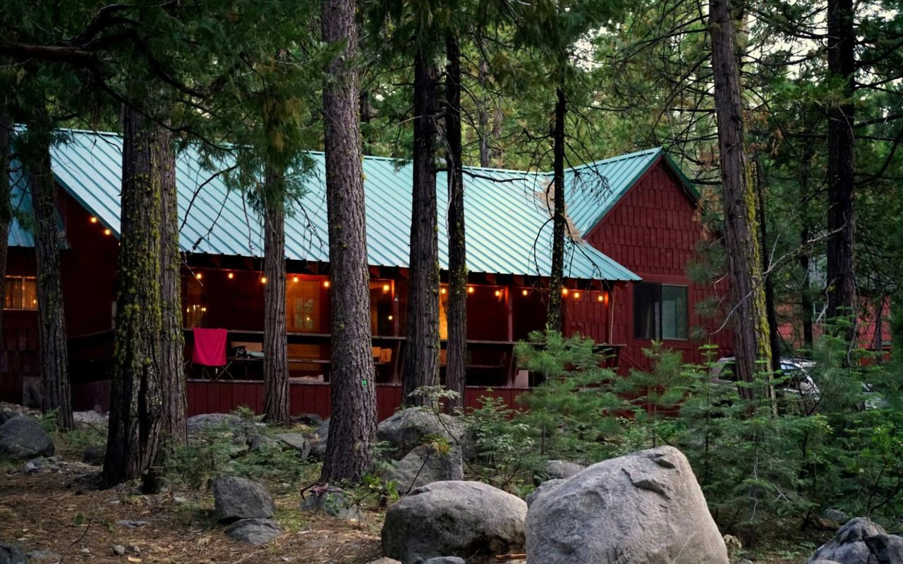 A rustic red cabin with a prominent teal green metal roof is nestled amidst a dense forest of tall evergreen trees.