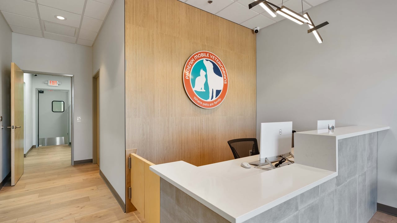 Commercial remodel in Scottsdale, AZ