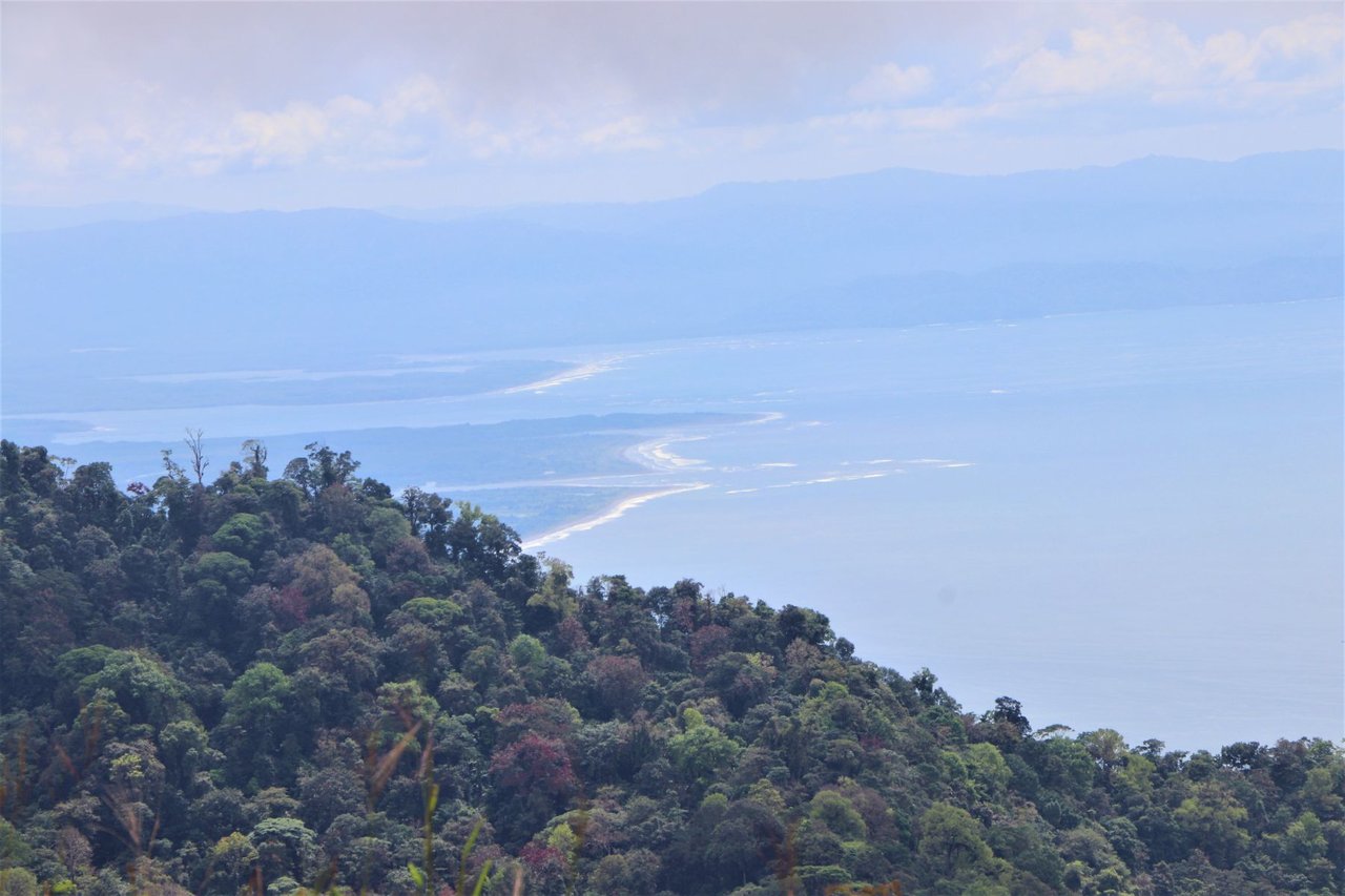 Ocean View Development Farms, Uvita, Puntarenas