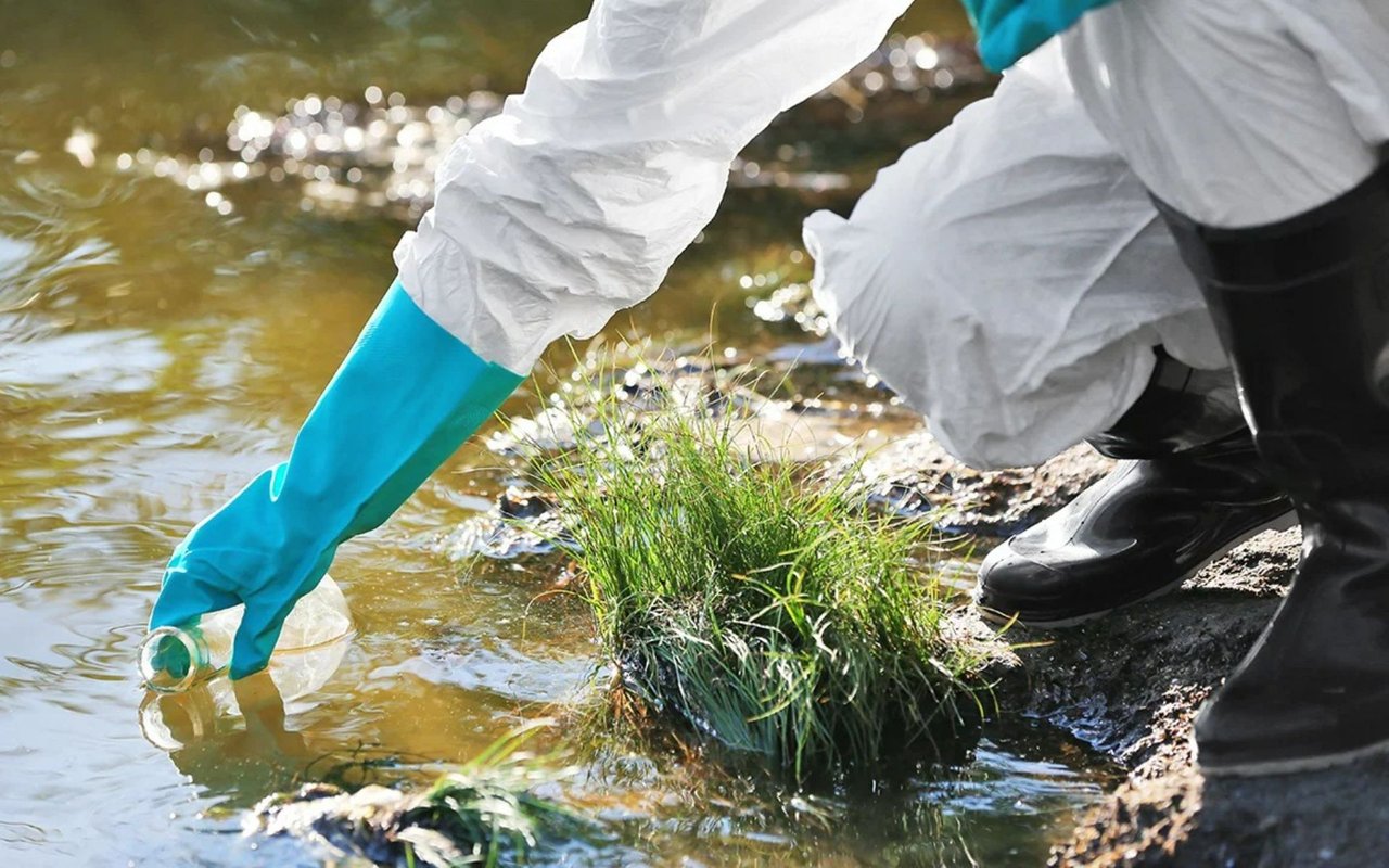 Environmental Issues