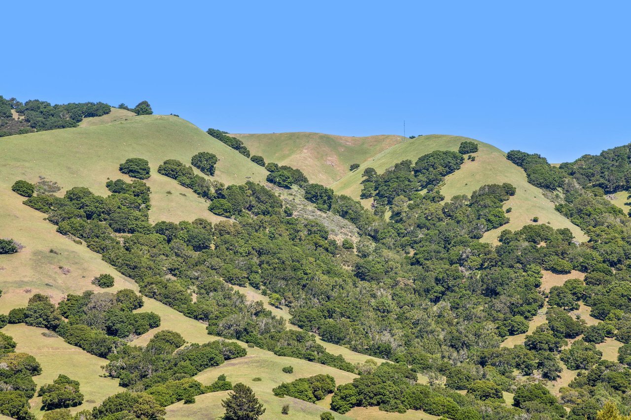 10 Maoli Drive, San Rafael