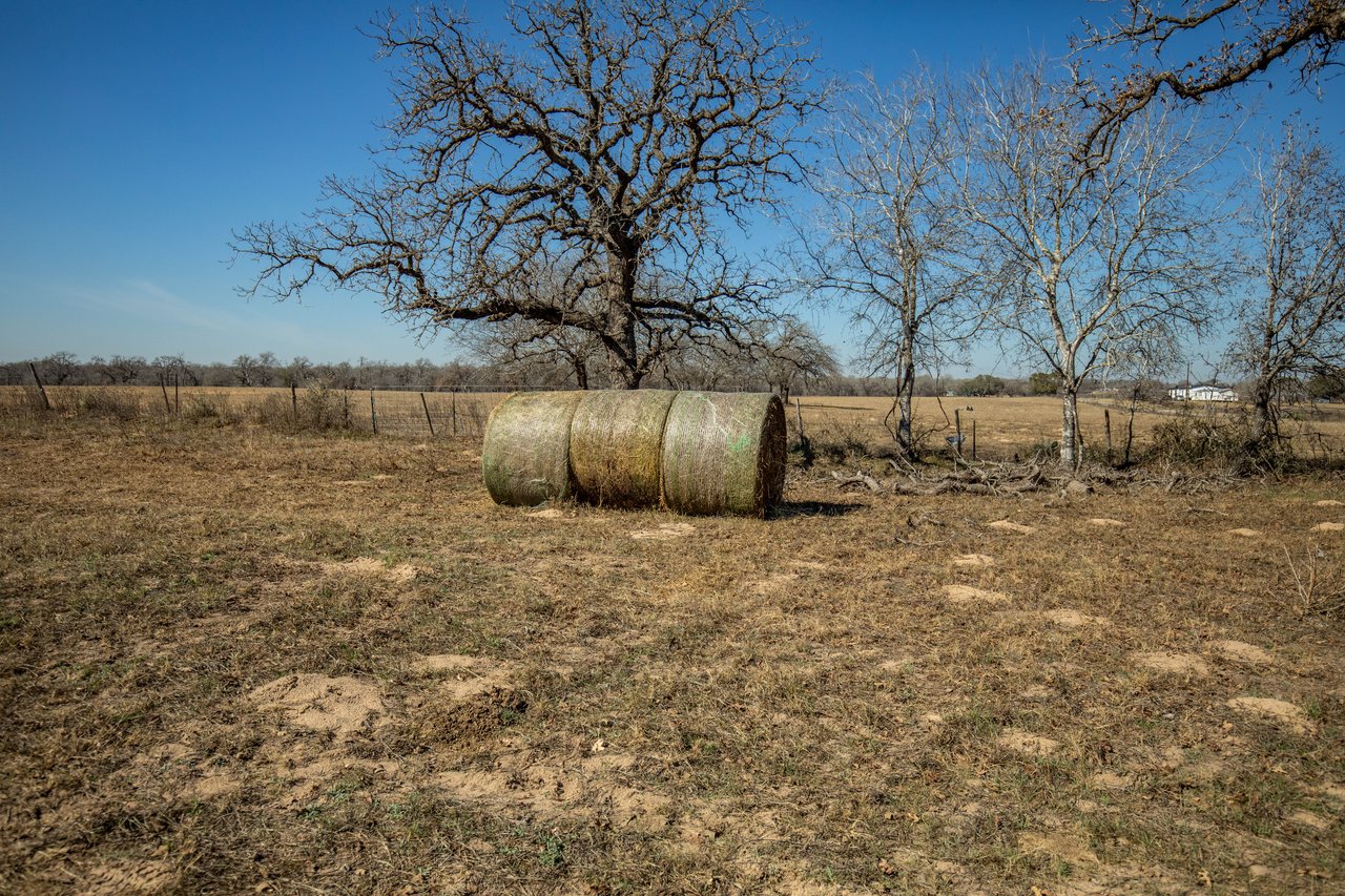 Whispering Pines Floresville Ranch | 298± Acres | Wilson County
