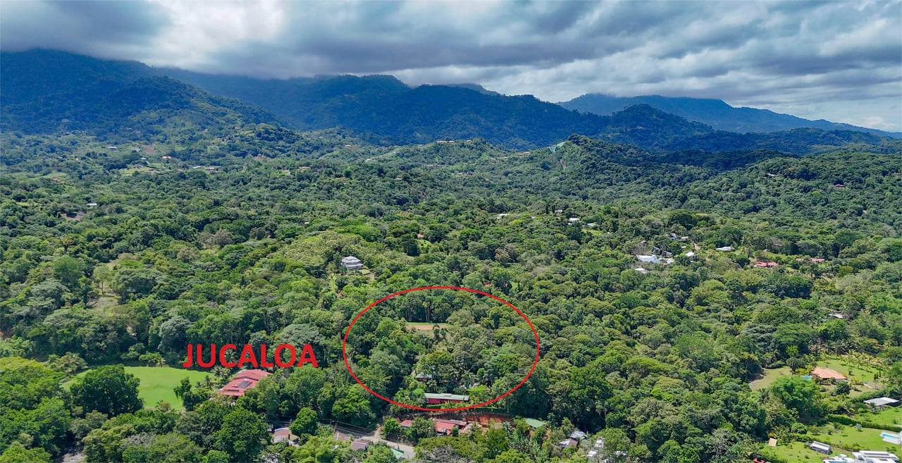 Ojochal Property for Sale – Cabins, Restaurant & 3-Bed Home