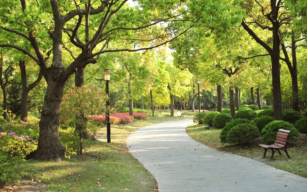 Sylvan Park