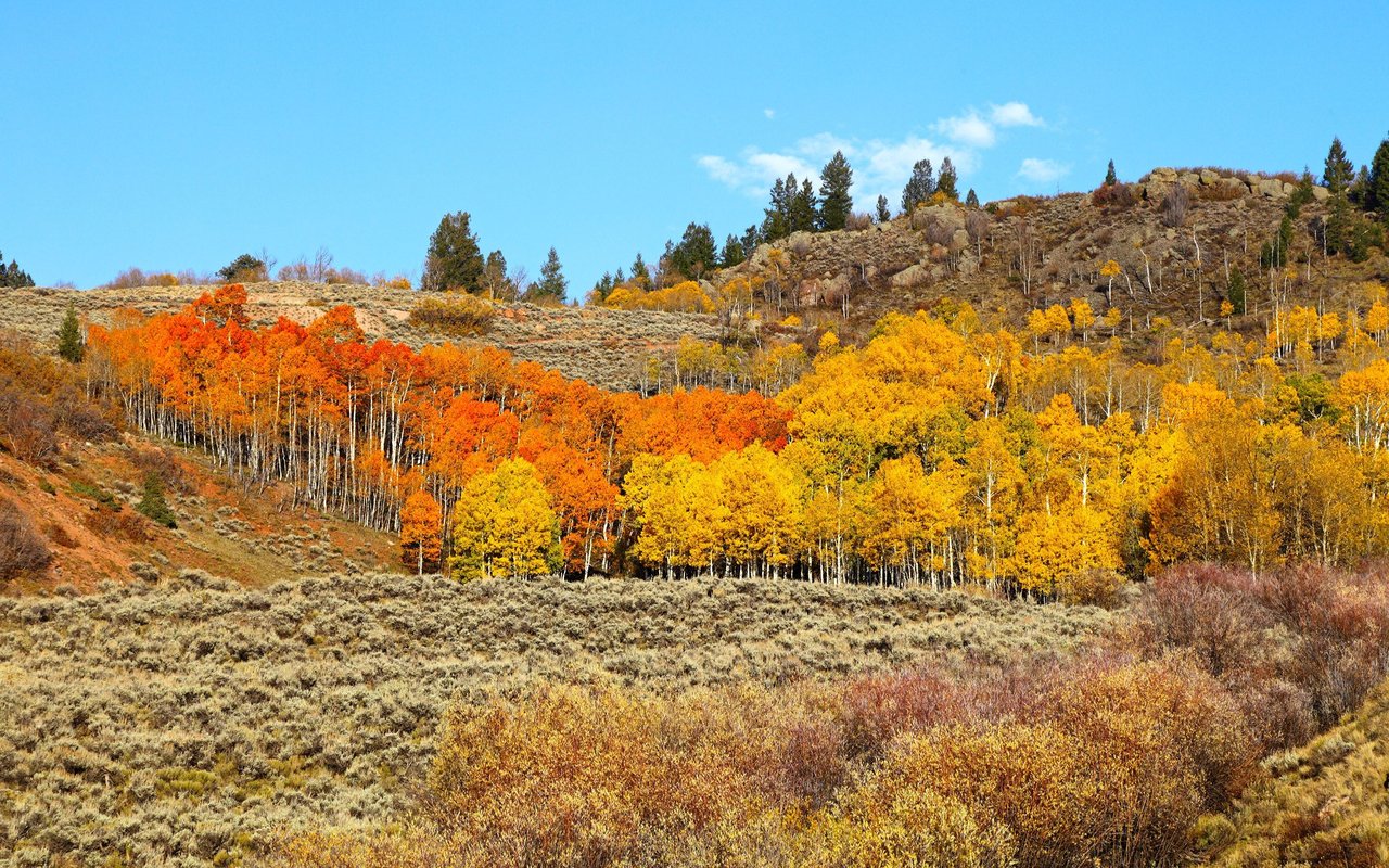 Gunnison