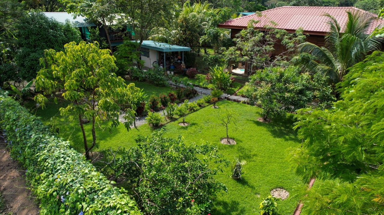Investment Opportunity! Eco-Friendly Rental Property Near Playa Chaman and Playa Colonia