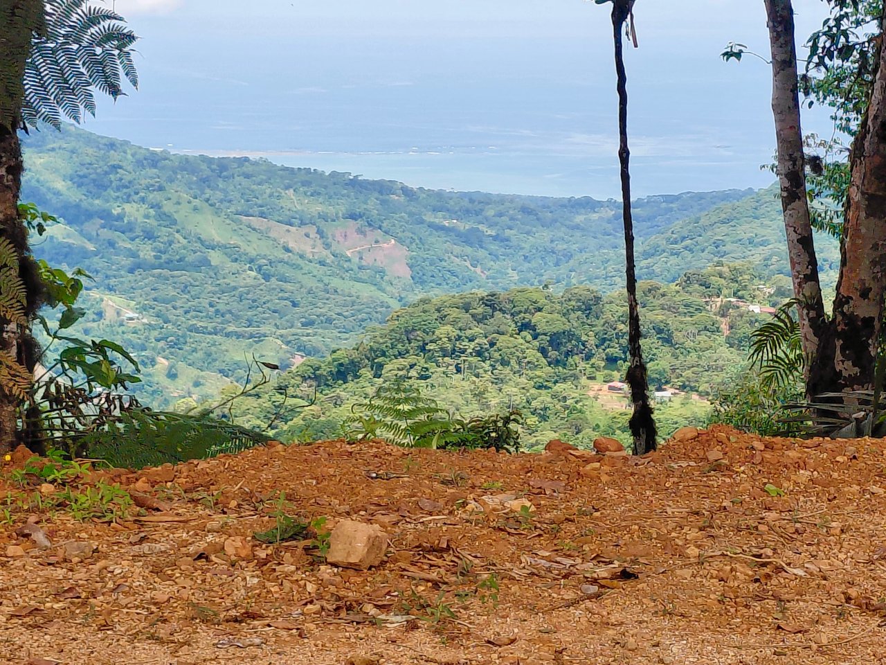Motivated Seller | Ocean View Lot in San Luis de Morete, Uvita