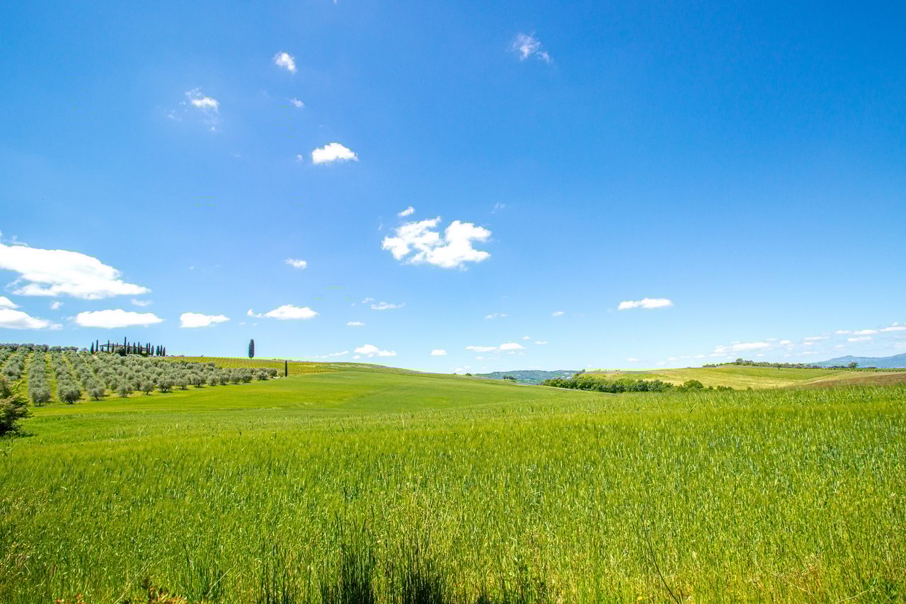 Organic Agriturismo in Cinigiano