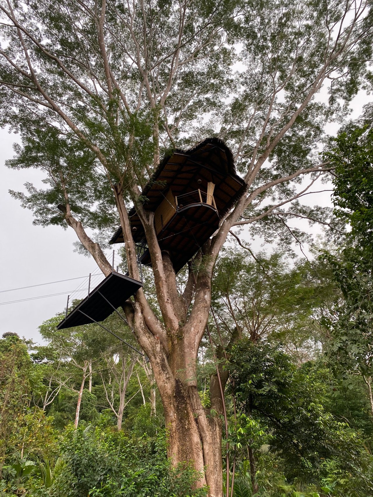 Beauty Villa- Ocean View in Uvita