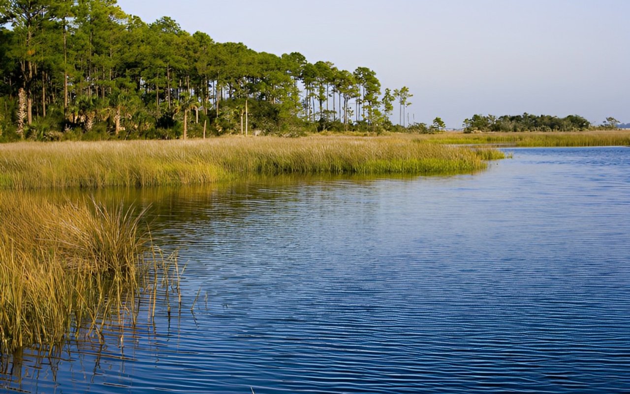 A Guide to Atlantic Beach, FL Parks