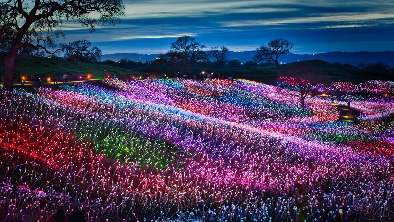 Places in Paso Robles You Need to Visit