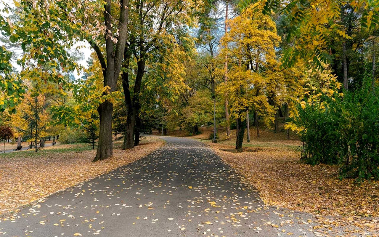 Why Osage Station Park Makes Danville, CA Such a Livable Community