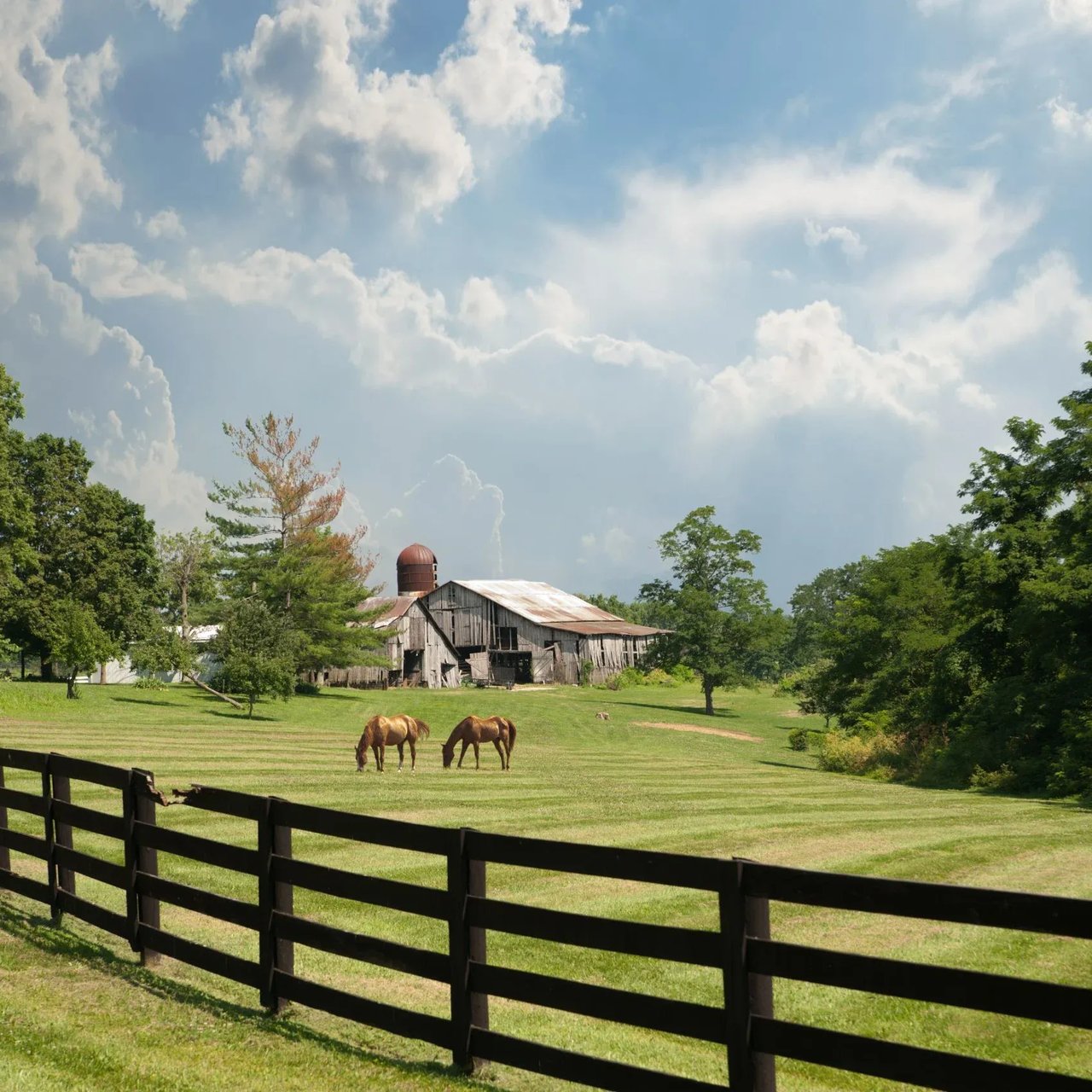 Farmland