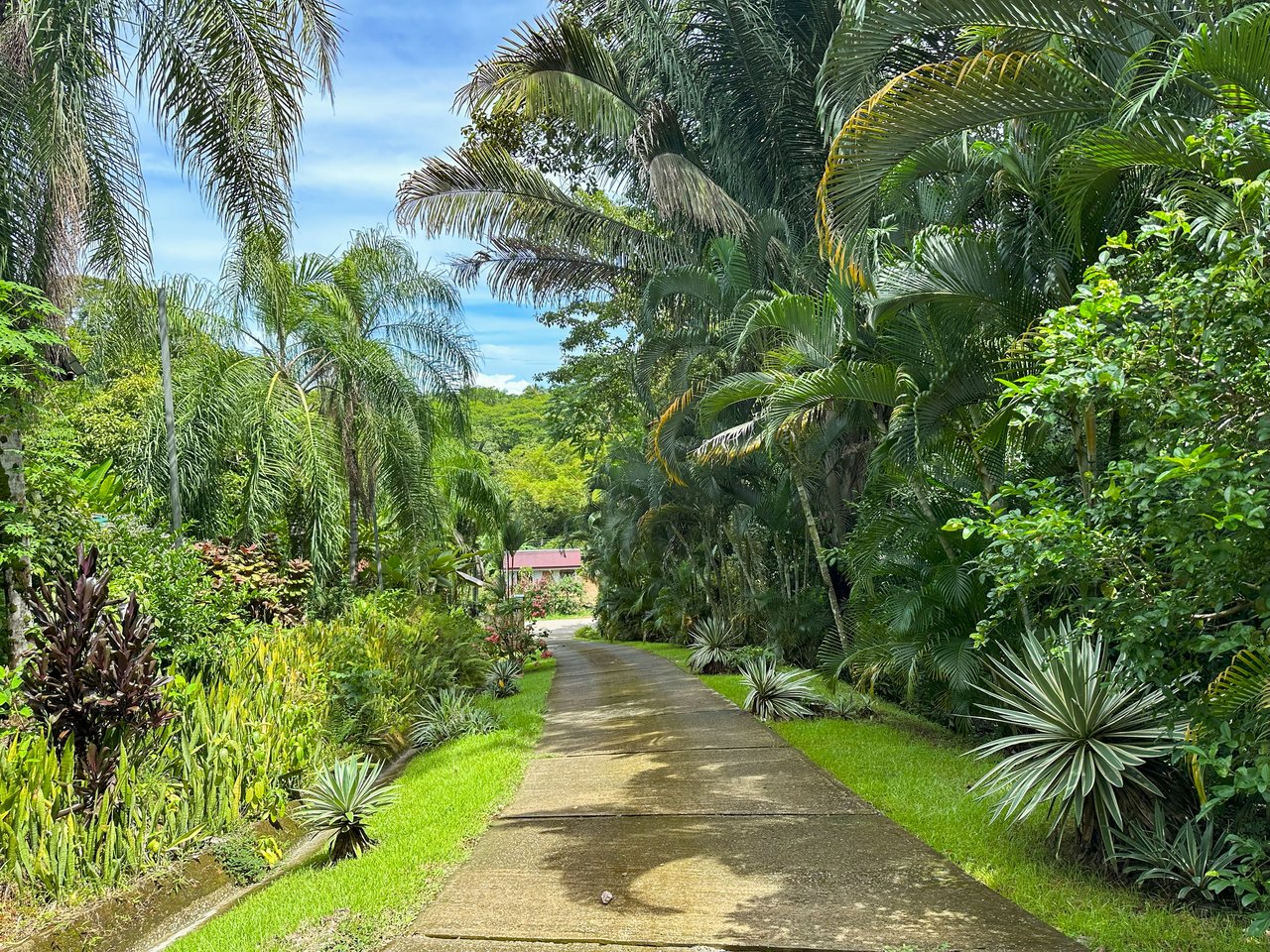 Ojochal Property for Sale – Cabins, Restaurant & 3-Bed Home