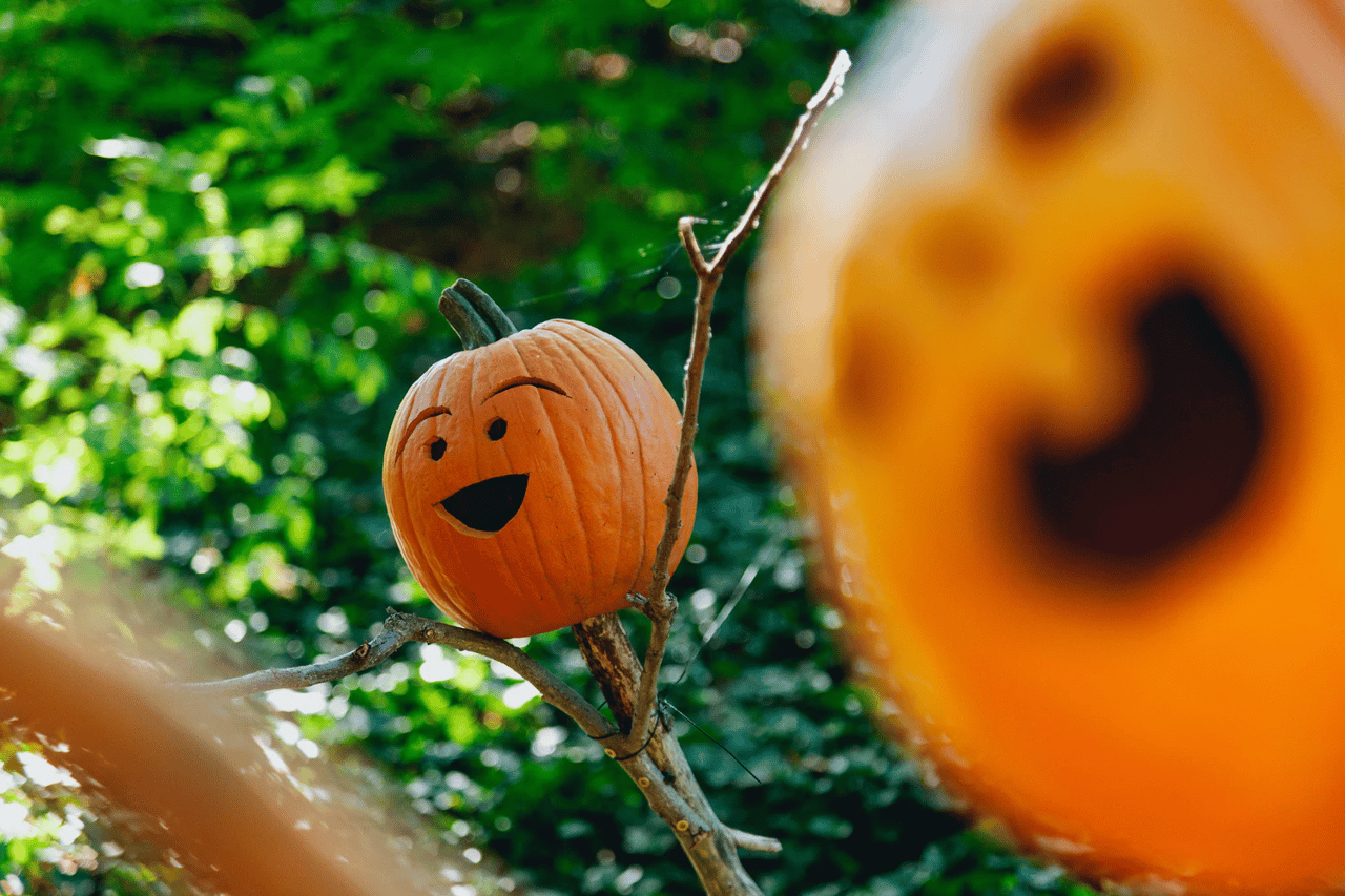 4 Halloween Activities in North County San Diego