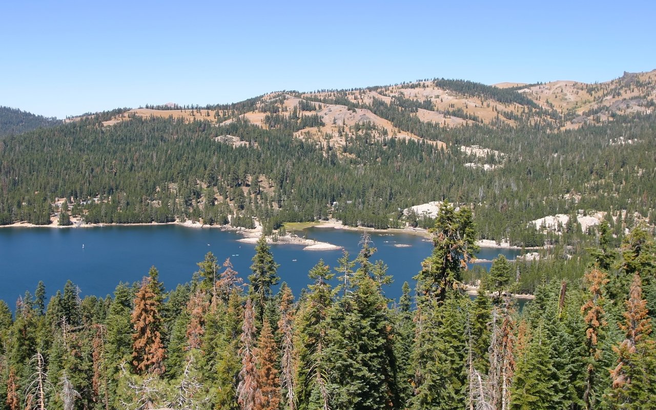 Bear Valley