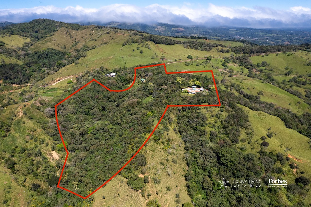 Aerial view of a wooded property outlined in red amid rolling hills and distant mountains.