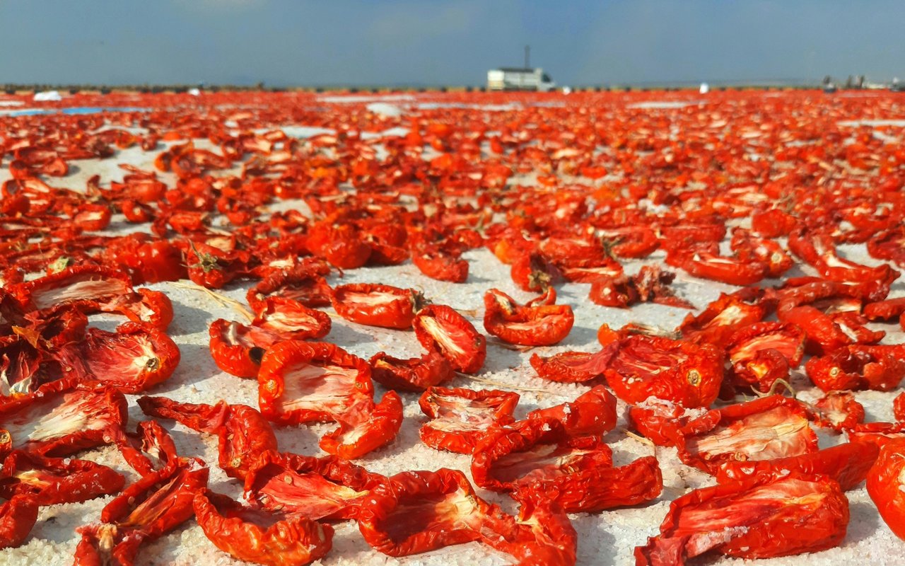 Hot or Not? Summer Market Update