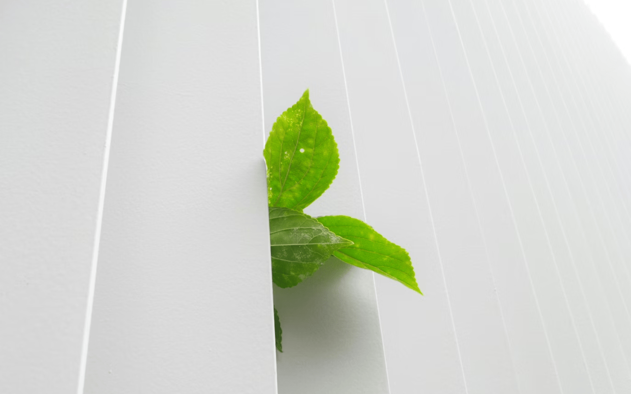 Tips for Making Your Home More Eco-Friendly