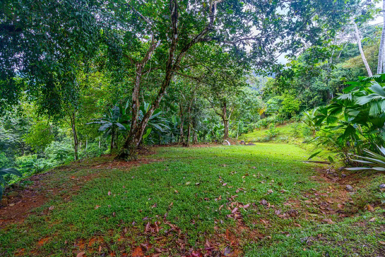 Cascada Sandalo Jaw Dropping Ocean Views!