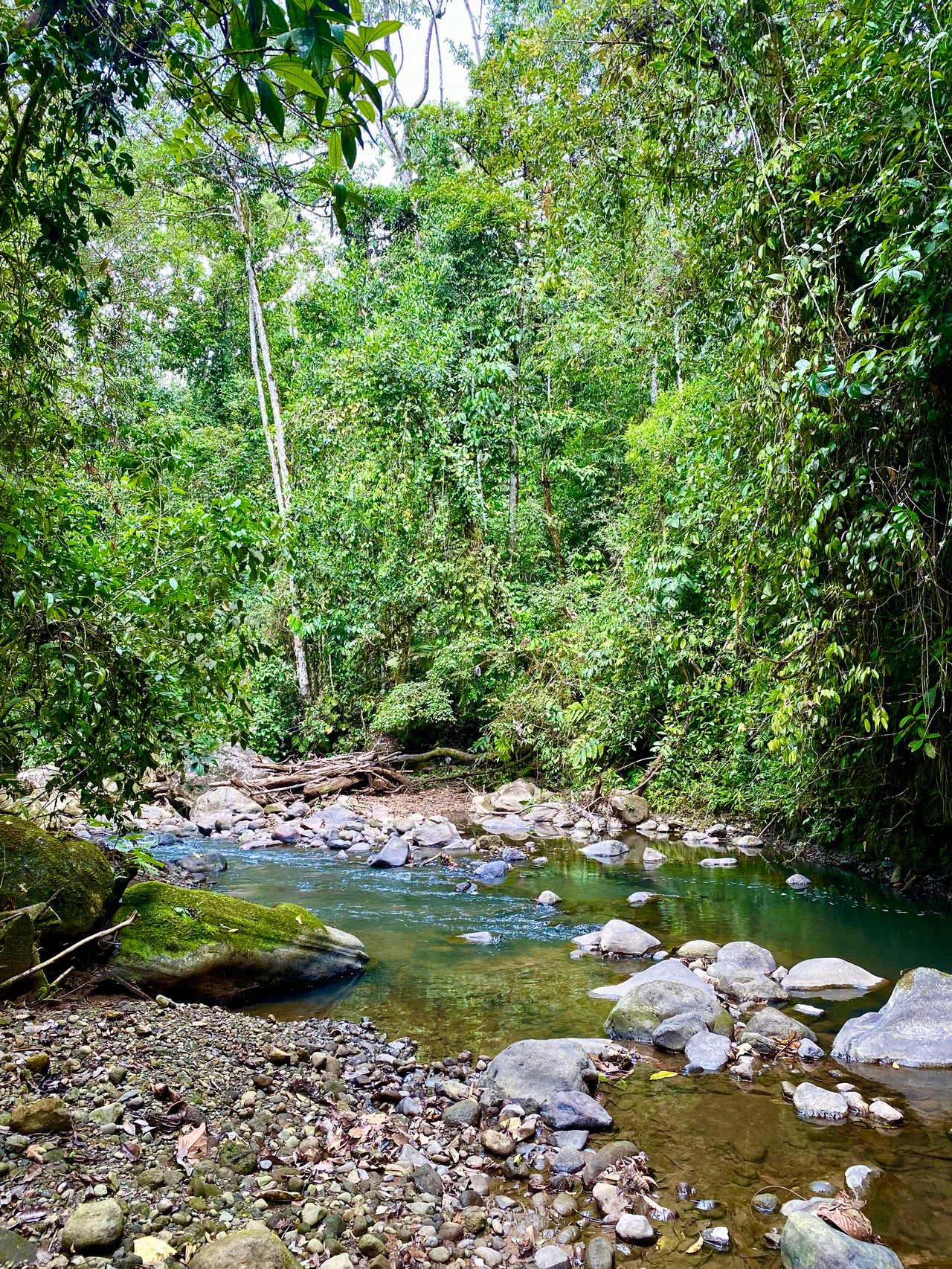 54 Acre Ranch in San Vito, Coto Brus