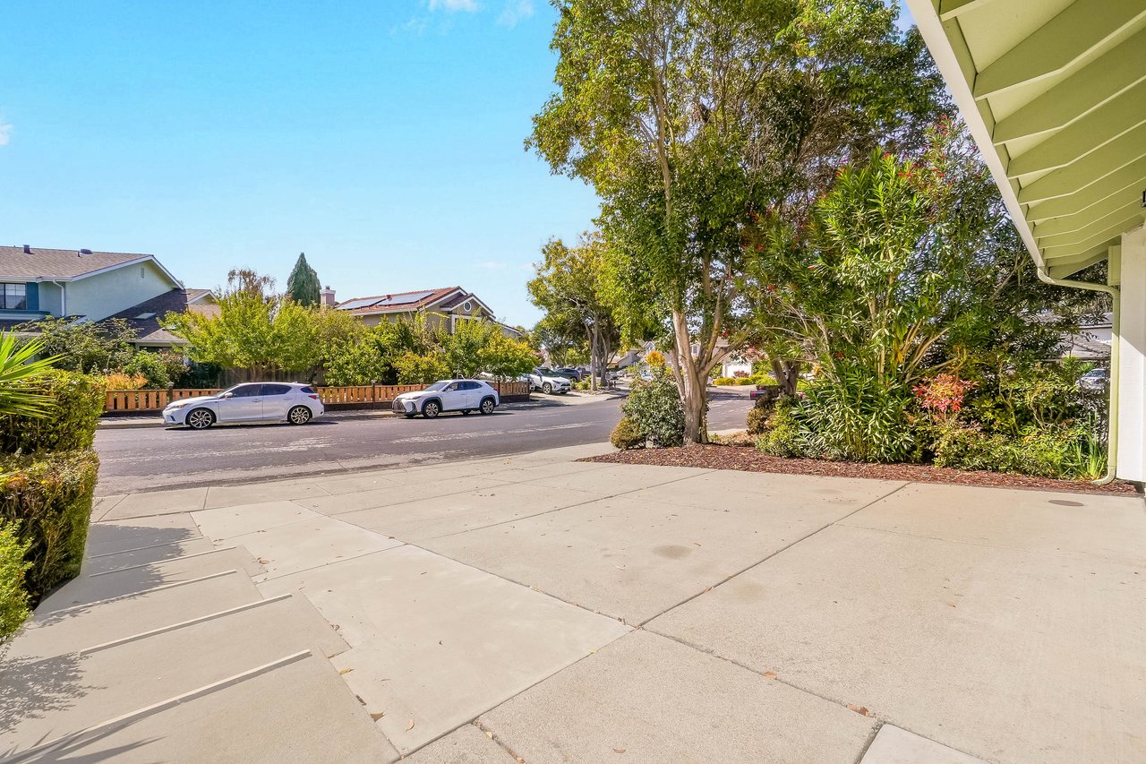 Concrete driveway opening onto a residential street, bordered by mature trees and landscaped planting beds.