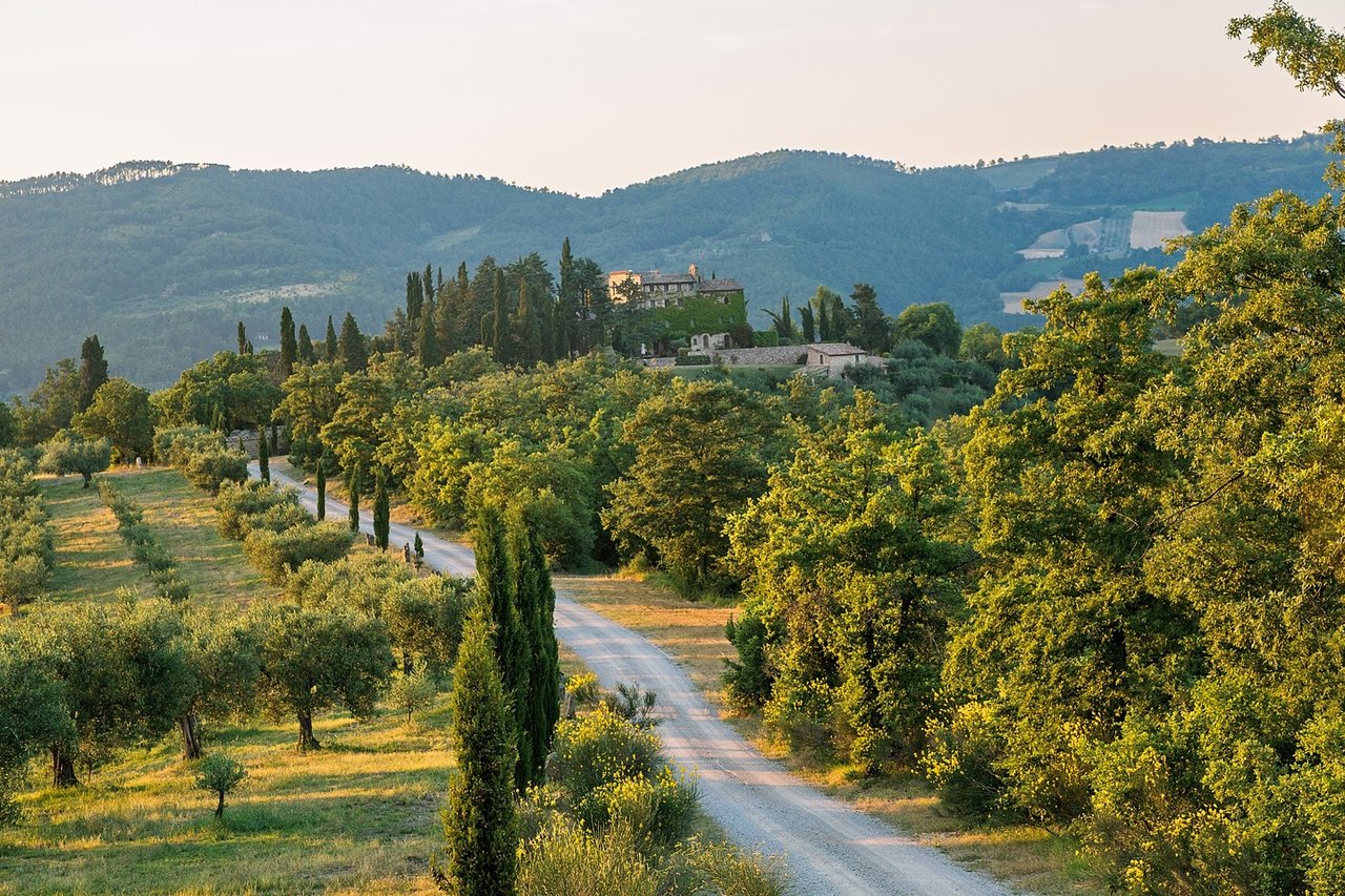 Wide Estate Composed of Houses and Amenities