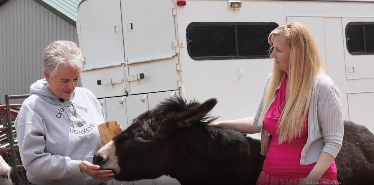 A Colorado Classic: Inside Cripple Creek’s Donkey Derby Days