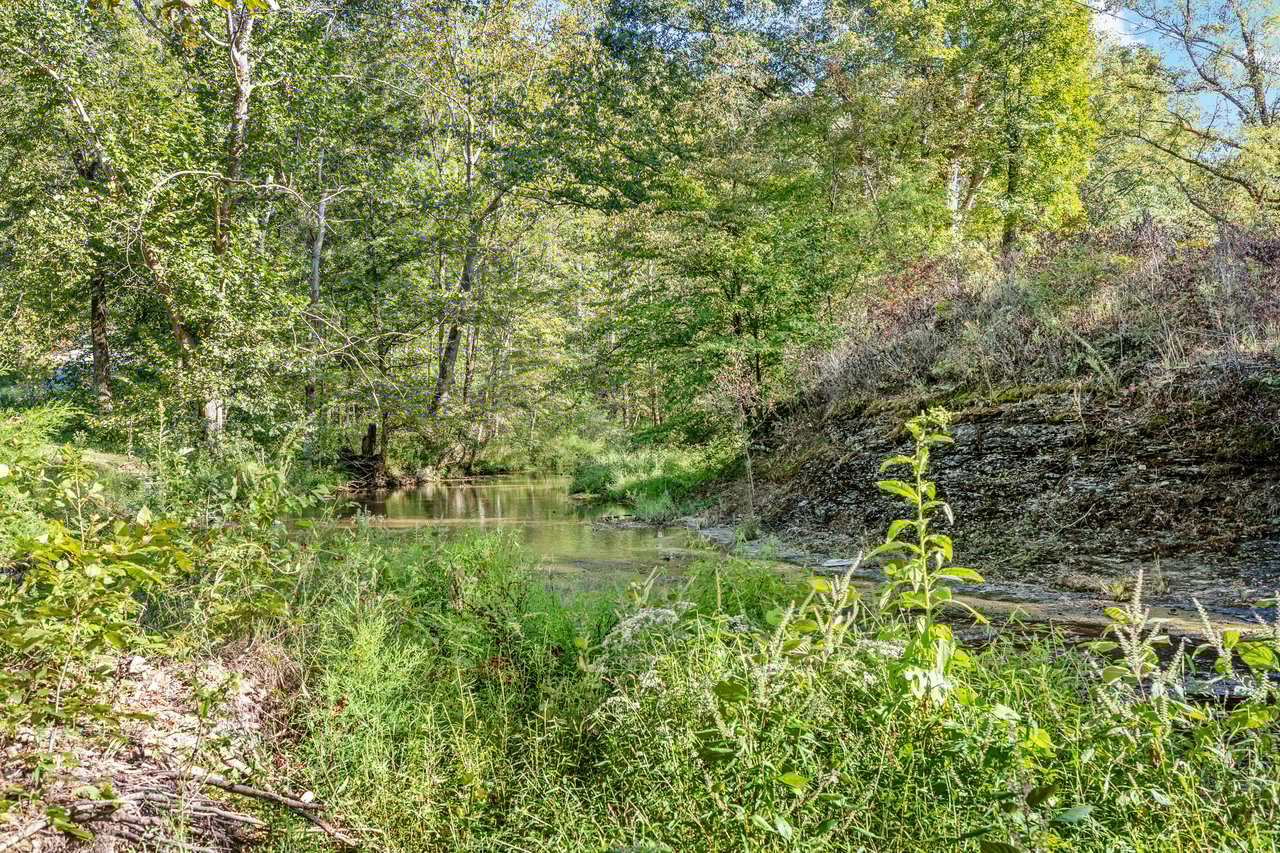 8192 Shoals Branch Road