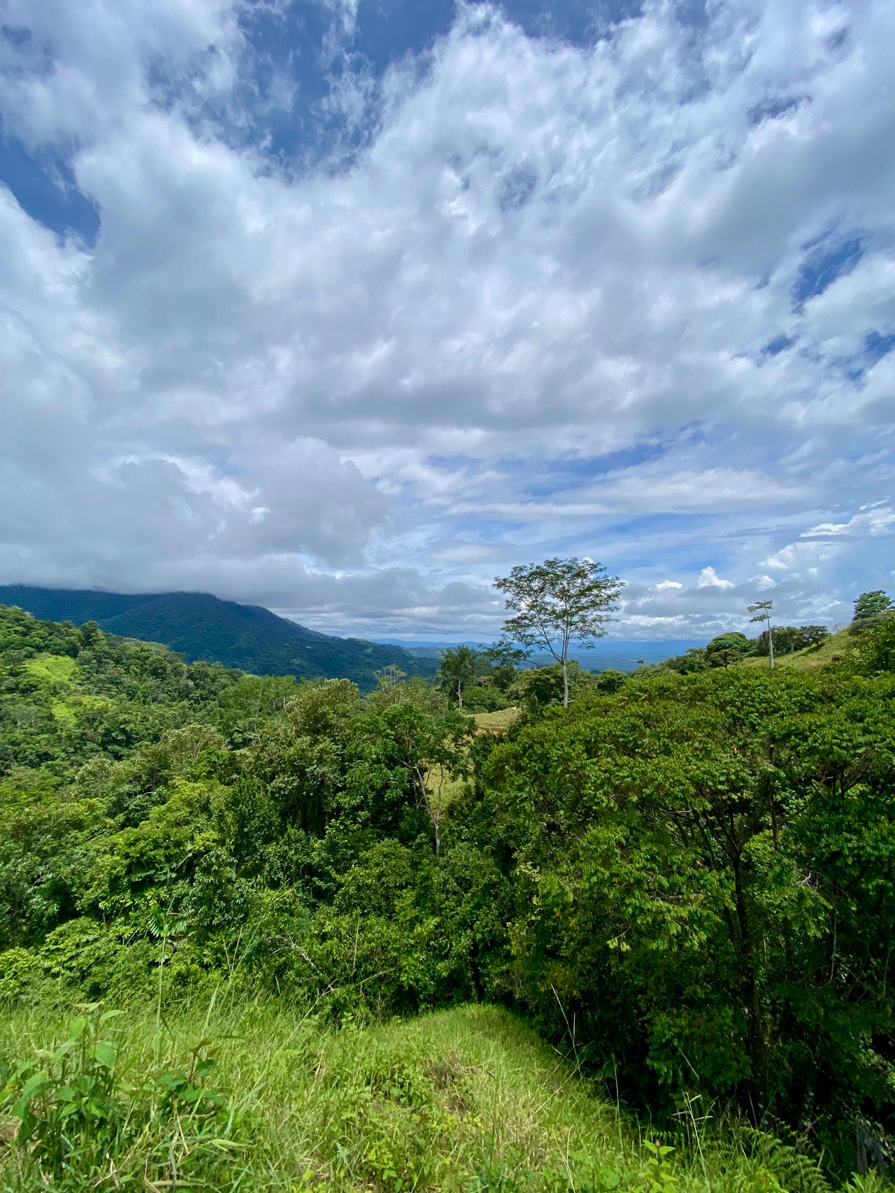 Spectacular 70 Acre Multiple Waterfall Property with Dramatic Views Near Ojochal