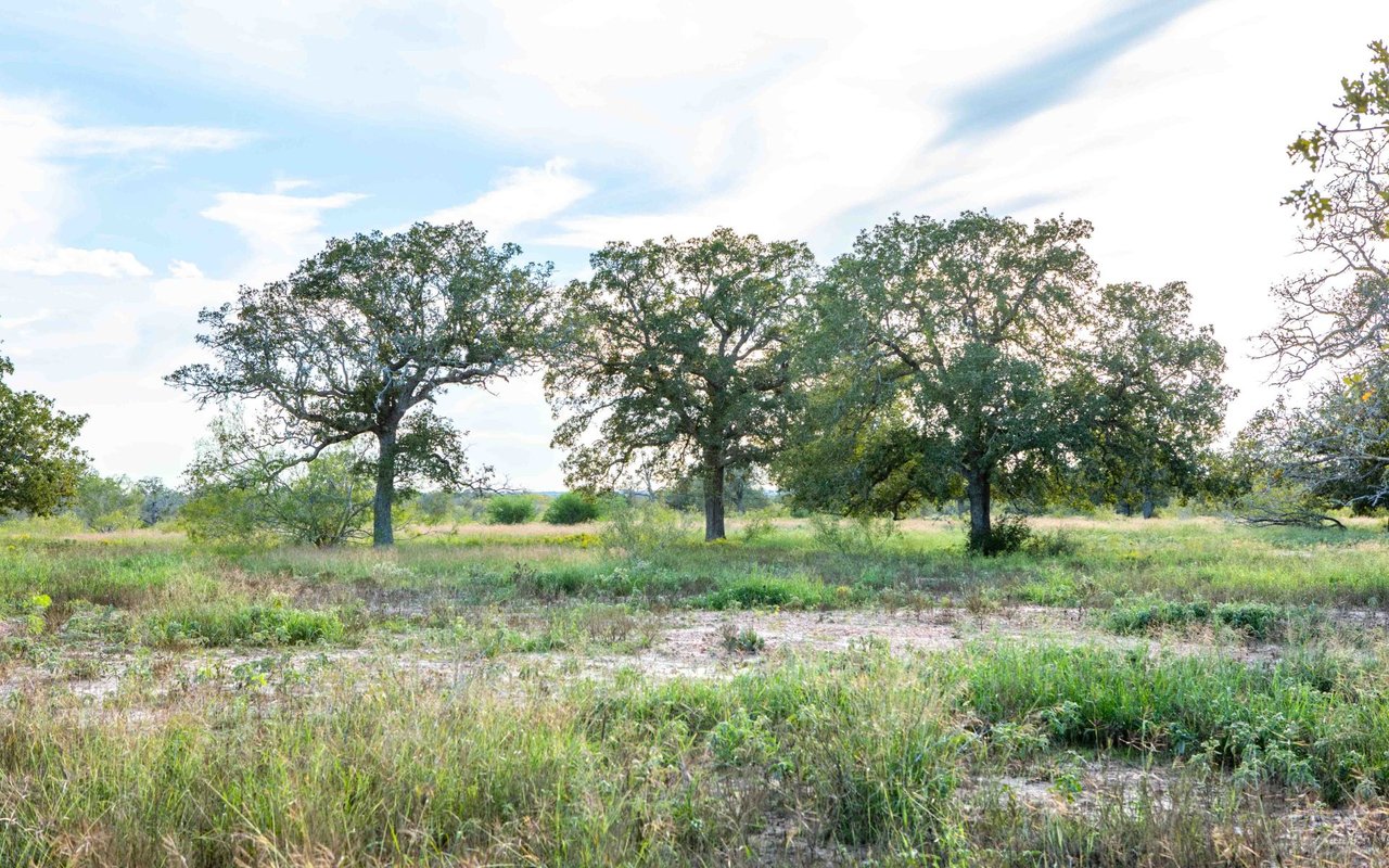 Gonzales County 11.5 Acres