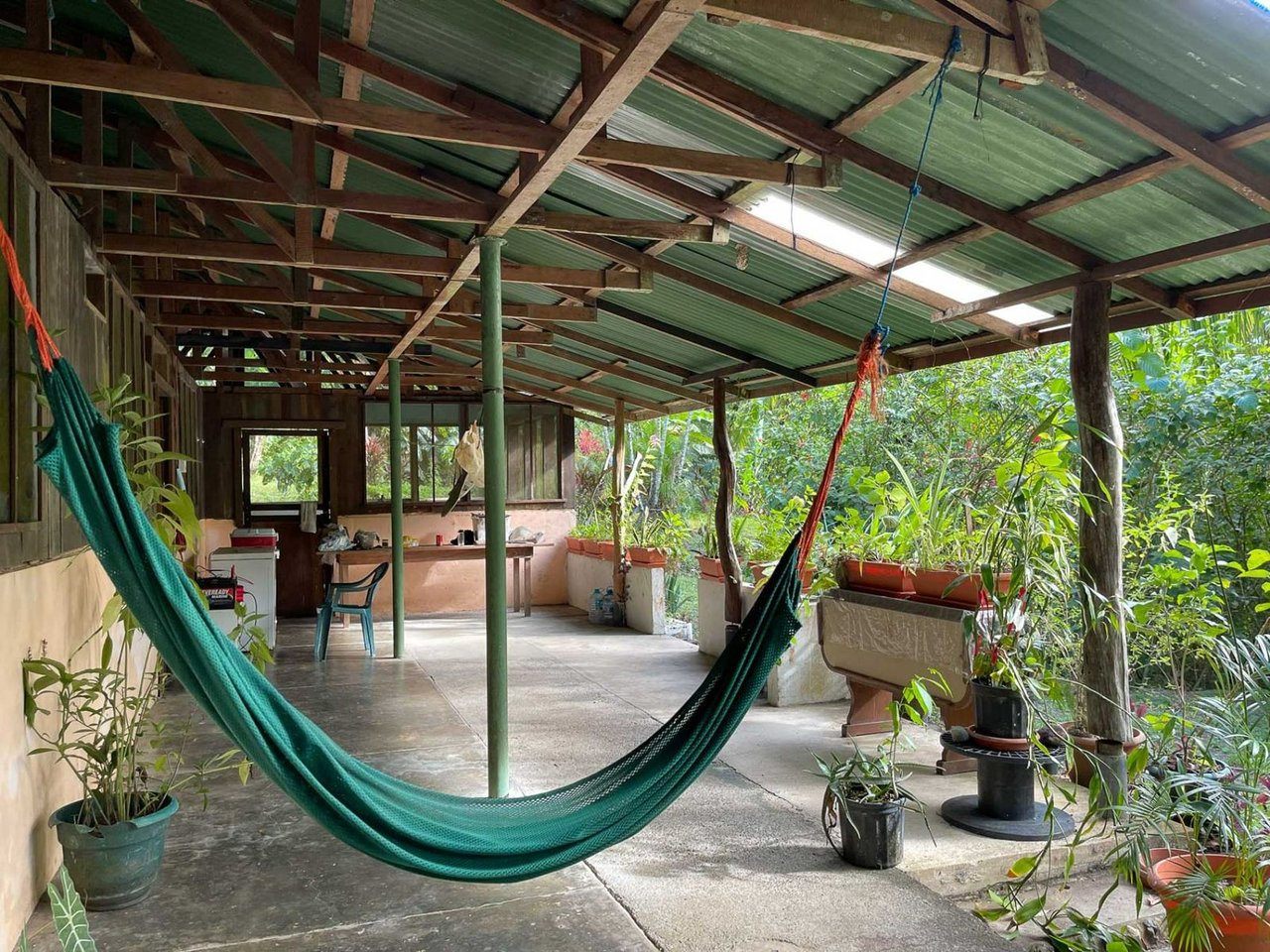 Pacific Frontage Rainforest Estate, Osa, Puntarenas