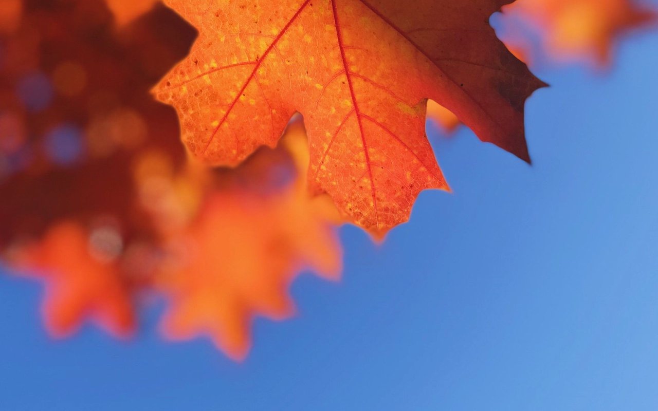 10 Ways to Make Your Fall Open House Extra-Cozy