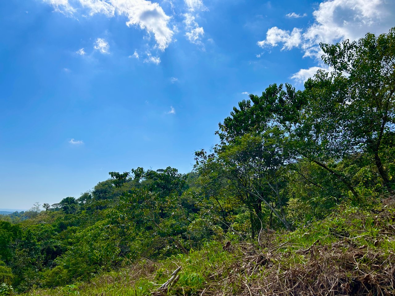 Ocean View Lot in San Buenas, Only $90K & Ready To Build