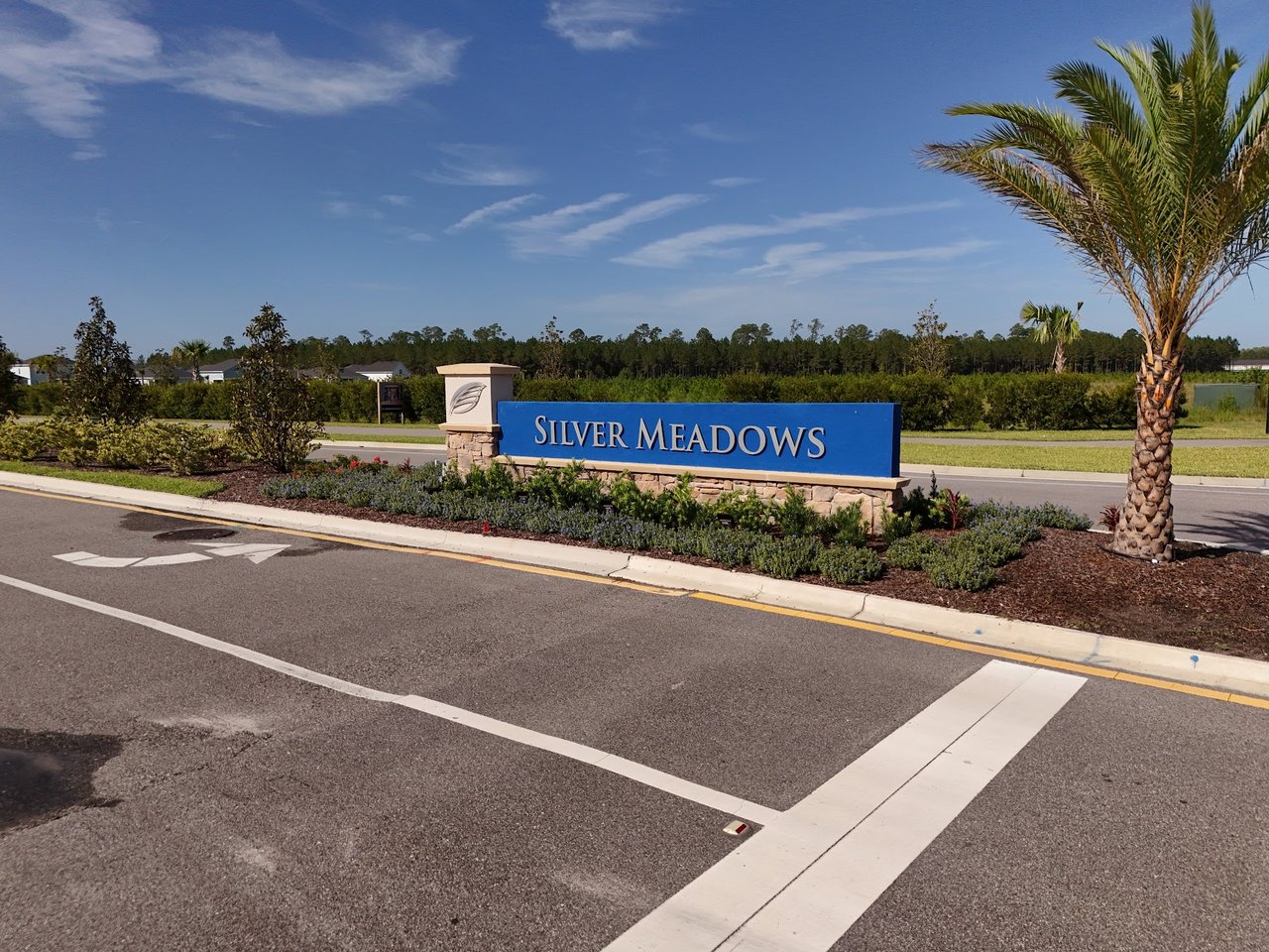 Silver Meadows community entrance sign beside a landscaped roadside and palm tree.