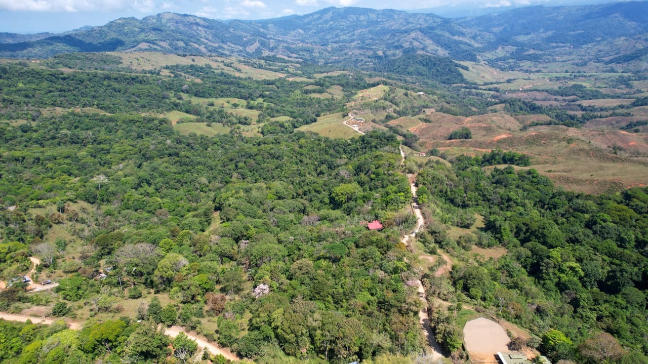 Valley of Dreams - A Beautiful Multi-Use Property Near Cacao Ridge, 10.85 Acres at a Phenomenal Price!